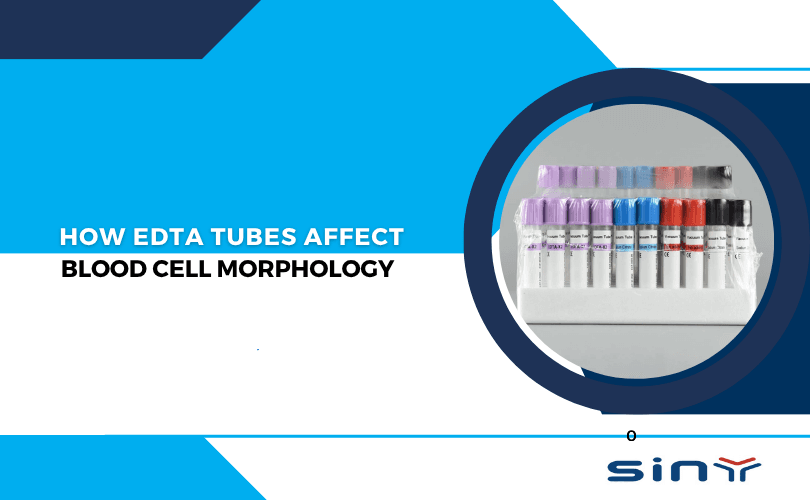 How EDTA Tubes Affect Blood Cell Morphology